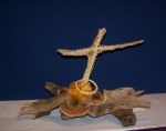 Centerpiece made by Donna Morgenstern